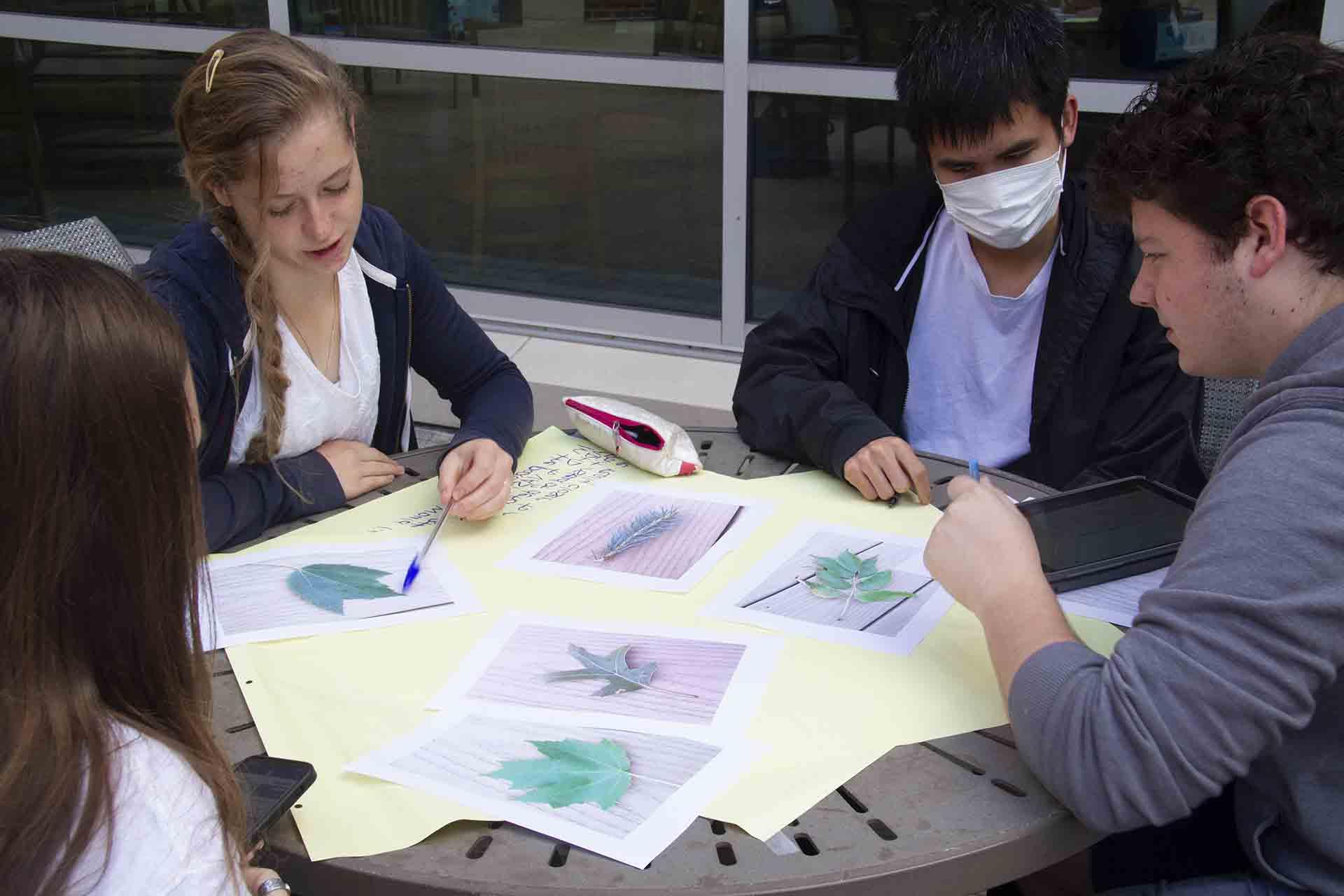 Students discuss a series of drawings while sitting at an outdoor table.